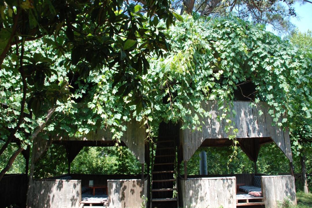 Photo of Others in Olympos