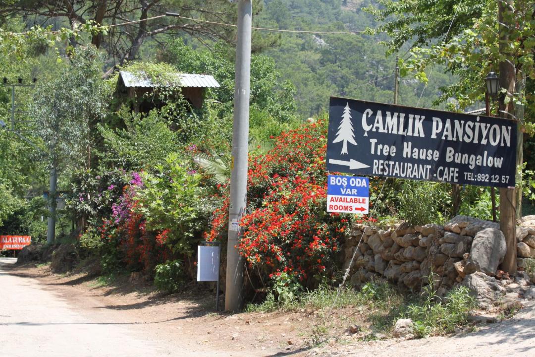 Photo of Others in Olympos