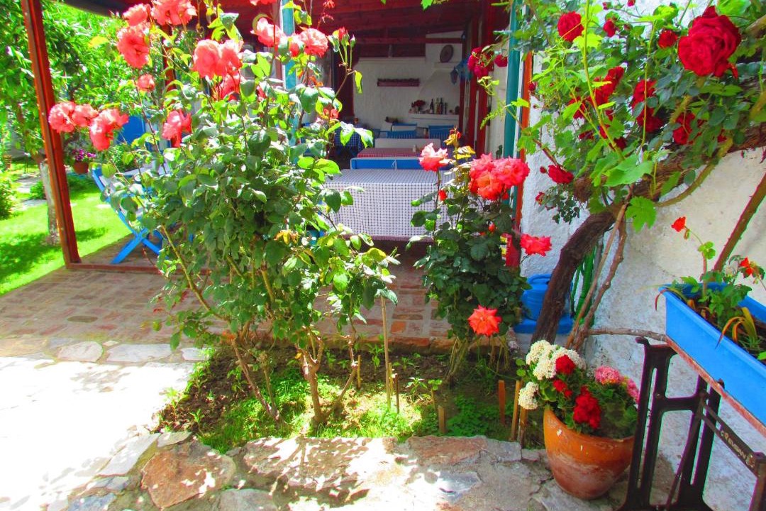 Photo of Others in Selcuk