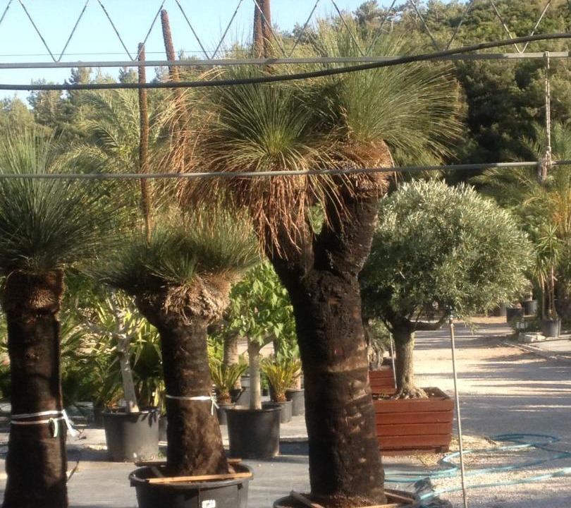 Photo of Others in Urla