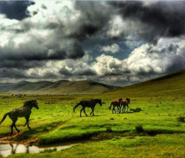 Photo of Others in Aybastı