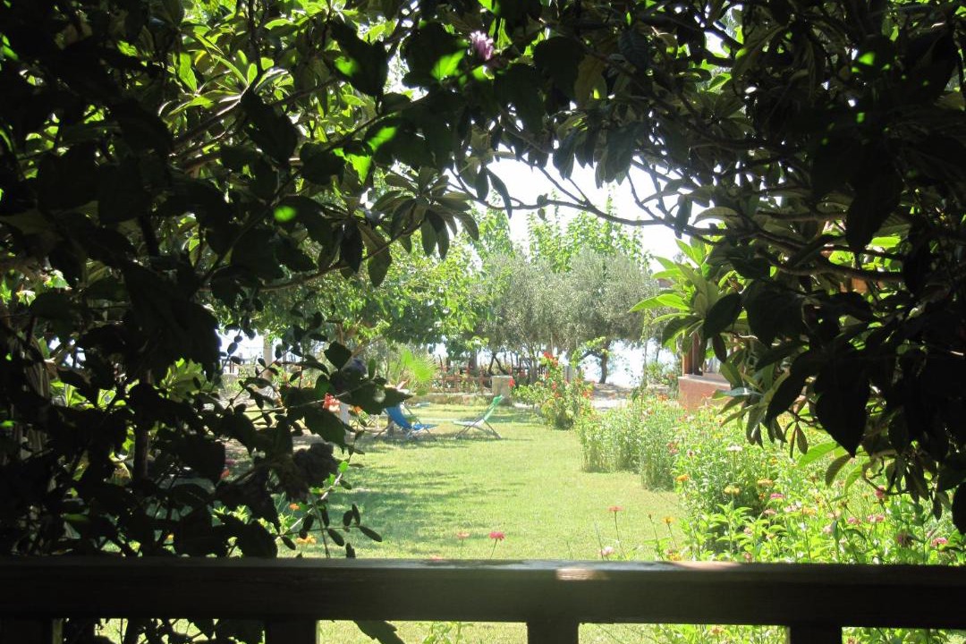 Photo of Others in Ovabuku