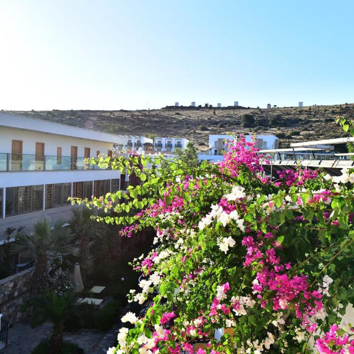 Photo of Buildings in Bodrum City Center