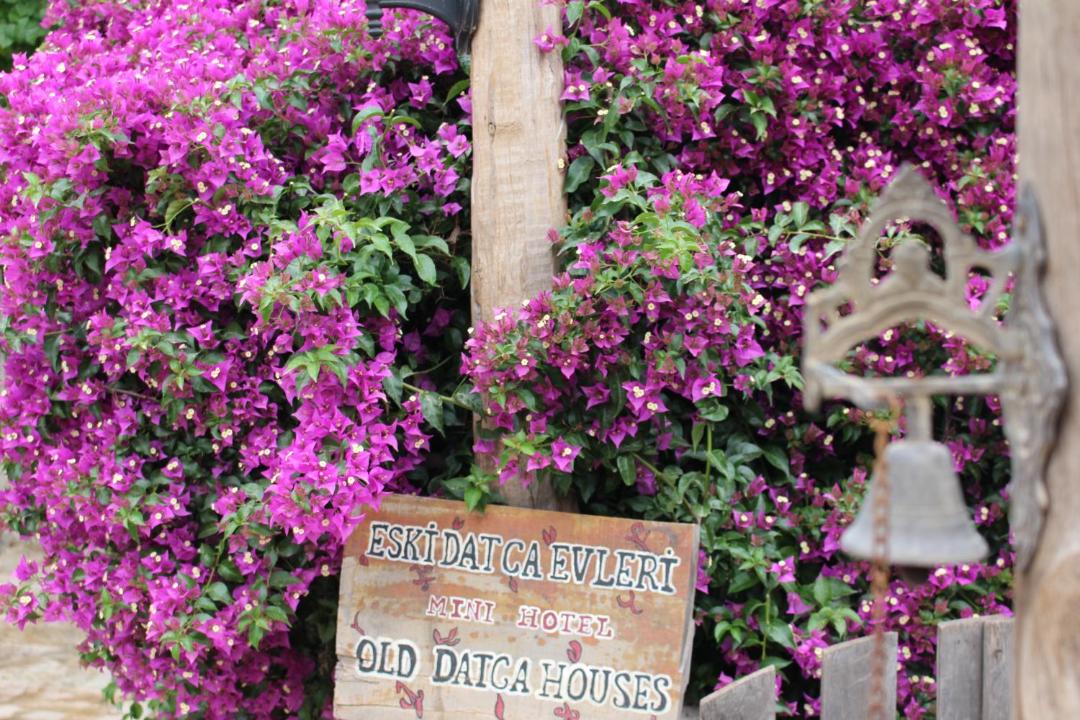 Photo of Others in Old Datca