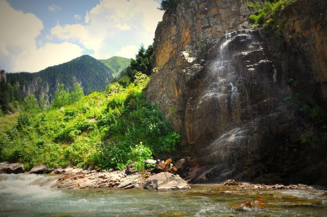 Photo of Others in Uzungol