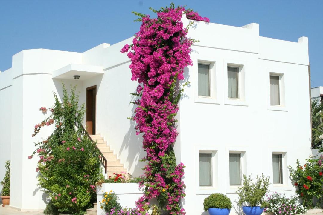 Photo of Others in Bodrum City Center