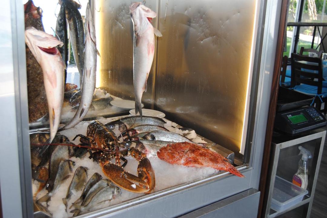 Photo of Others in Ayvalik