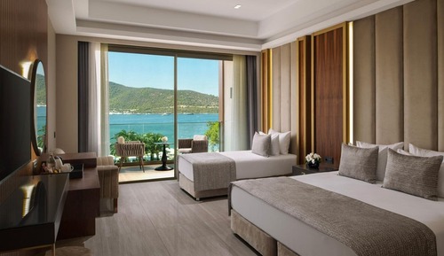 Superior Single Room
