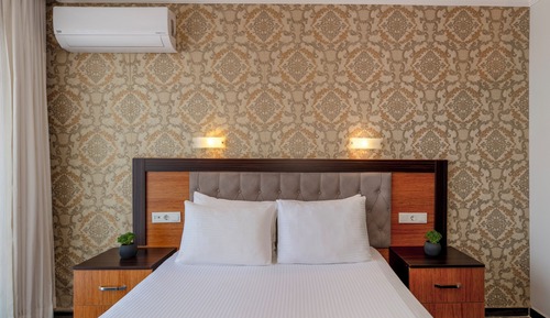 Basic Triple Room
