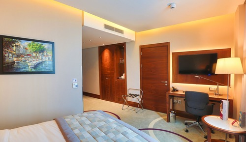 Standard Room, 1 Queen Bed, Accessible