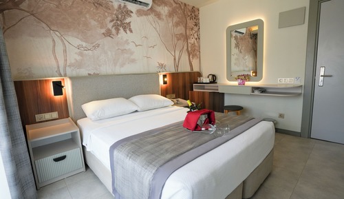 Standard Double Room