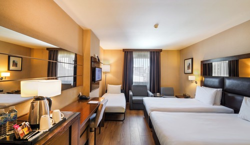 Deluxe Twin Room