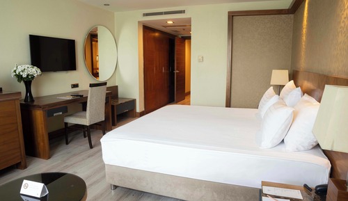 Family Room, 1 King Bed