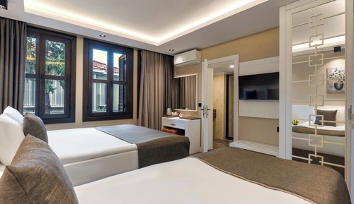 Basic Triple Room