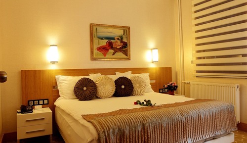 Deluxe Double Room Single Use