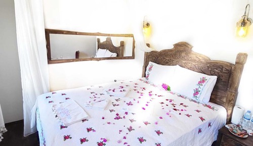 Standard Double Room, Mountain View