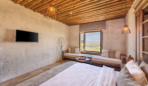 Queen Suite with Bathtub 303