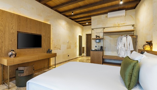 Suite, 1 Queen Bed