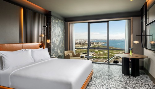 Executive Suite, 1 King Bed with Sofa bed