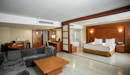 Suite, 1 Bedroom (Additional Living Area)