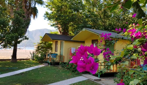 Standard Bungalow, Patio, Sea View