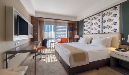 Premium Room, 1 King Bed, Non Smoking, Mountain View