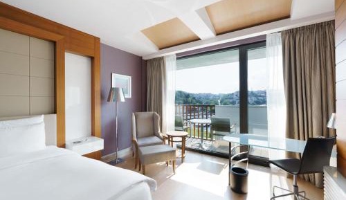 Deluxe King Room Garden View