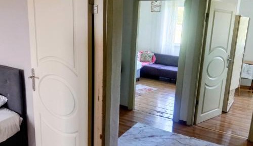 Budget Single Room