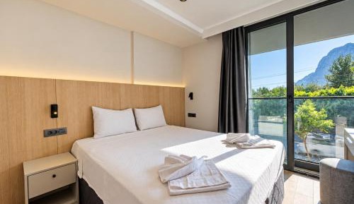 Double or Twin Room with Mountain View