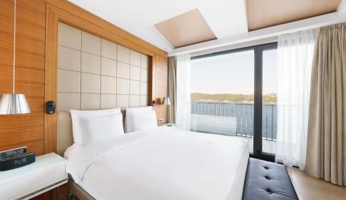 Deluxe King Room Garden View
