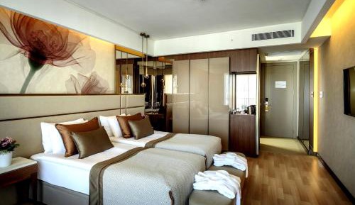 Standard Double or Twin Room