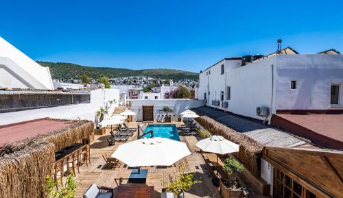 Superior Double or Twin Room with Pool View