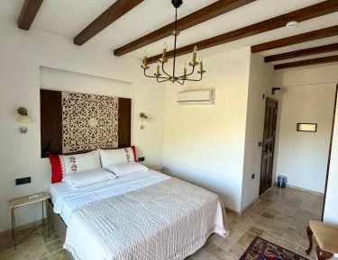 Triple Room with Mountain View
