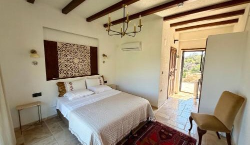 Double Room with Terrace