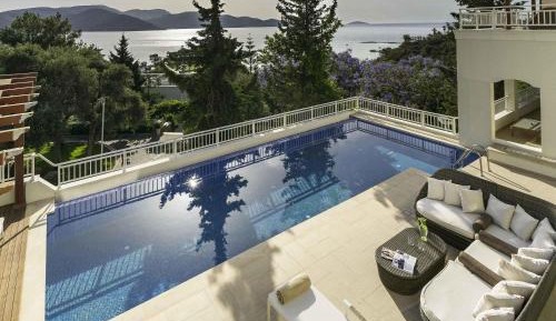 Superior Villa