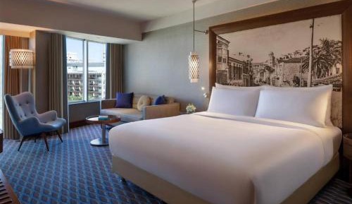Deluxe King Room