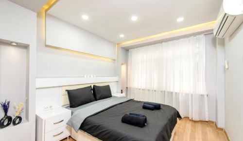 Deluxe One-Bedroom Apartment