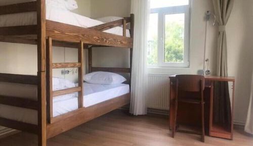 Bunk Bed in Mixed Dormitory Room
