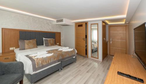 Superior Double or Twin Room