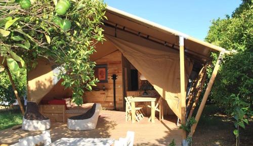 Safari Tent