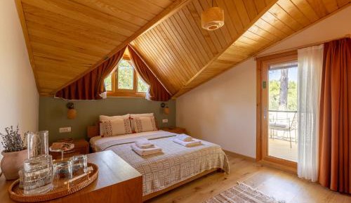 Triple Room with Mountain View