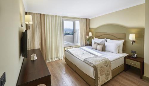 Deluxe Room-Disability Access 