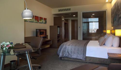 Comfort Terrace Room