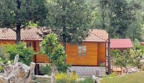Bungalow