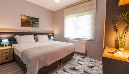 Suite with Mountain View