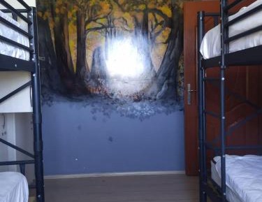 Bed in 4-Bed Female Dormitory Room