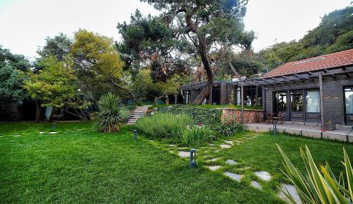 Family Bungalow