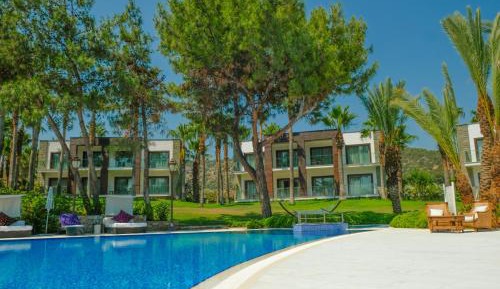 Palm Suite