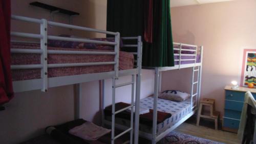 Bunk Bed in Mixed Dormitory Room