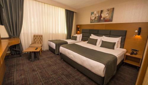 Standard Double or Twin Room